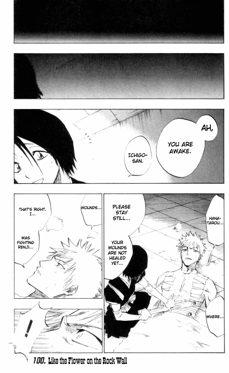 Read Bleach Chapter 100 - Flower on the Precipice Online