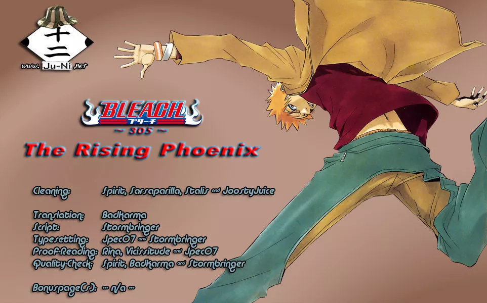 Read Bleach Chapter 305 - The Rising Phoenix Online