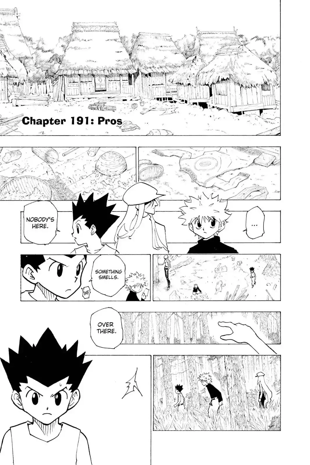 Read Hunter X Hunter Chapter 191 - Pros Online