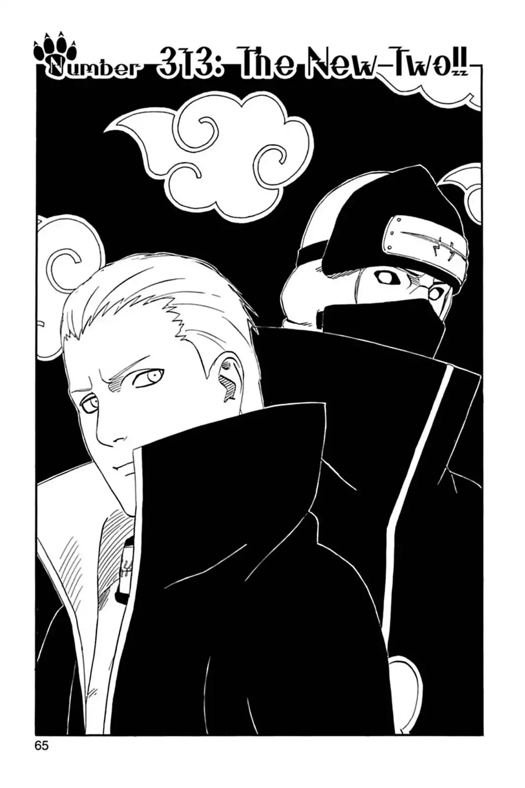 Read Naruto Chapter 313 - The New Two Online