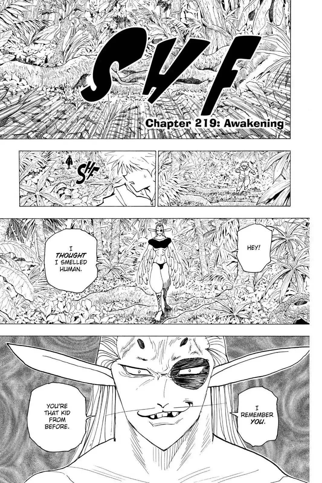 Read Hunter X Hunter Chapter 219 - Awakening Online