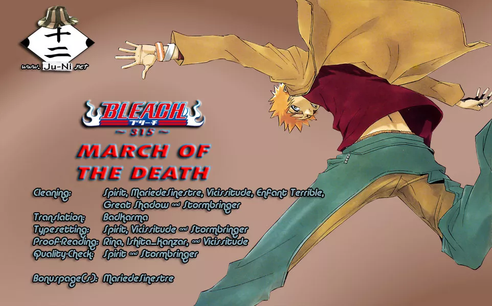 Read Bleach Chapter 315 - March of the Death Online