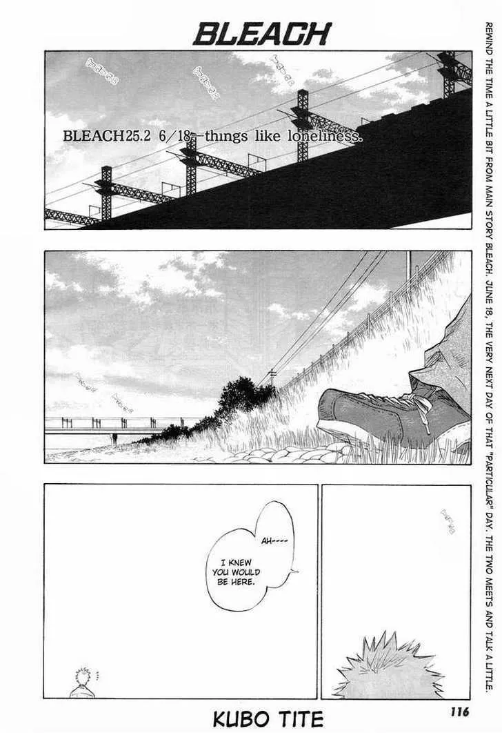 Read Bleach Chapter 25.2 - Things Like Loneliness Online